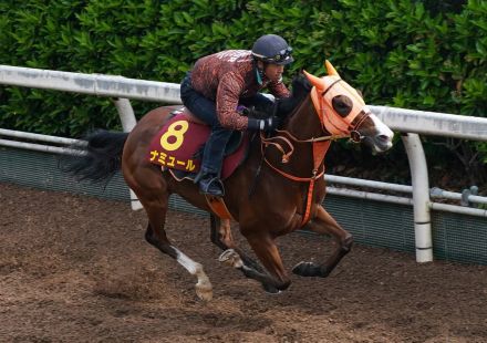 ナミュールは⑥枠１０番　競馬のＧⅠ、ヴィクトリアマイルの枠順決まる