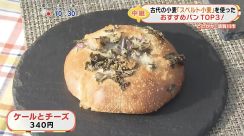 「誰もが安心して食べられる」こだわりと想いをたくさん詰めて…須賀川市の「からだにやさしいパン屋さん ととかか」