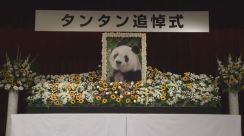 【速報】“神戸のお嬢様”ジャイアントパンダ「タンタン」追悼式始まる　会場の外にもファンの姿