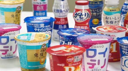 進化し続けるヨーグルト 歯科医推奨“ロイテリ菌”入りや水分を切ったグリークヨーグルトって？