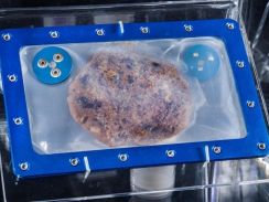 世界で初めて宇宙で焼いたクッキー、米博物館で展示–レシピはヒルトン
