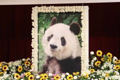 「太陽のような存在だった」　神戸・王子動物園でパンダ「タンタン」の追悼式