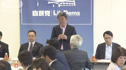 「政策活動費は廃止すべき」自民党内からも与党案に異論　政治資金規正法改正めぐり