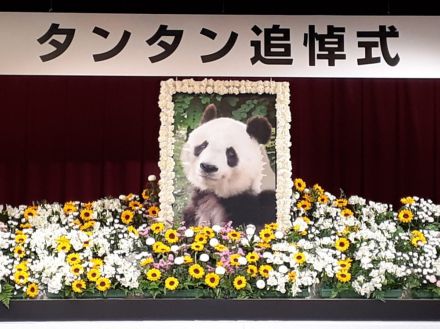 タンタンありがとう、忘れないよ　10日、神戸市立王子動物園で追悼式　飼育員「頑張り屋で賢い子」　