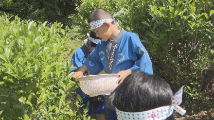 「楽しい思い出の1ページになれば」今年度で閉校の小学校　最後の茶摘み　山口・光