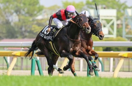 【京王杯SC】初重賞でも「止まらない」1頭　“裏付けアリ”なら迷わず◎