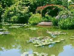 5月から行きたい！美しすぎる庭園、北川村「モネの庭」マルモッタン