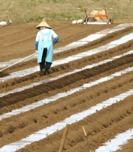 「日本人の生活」とはどのようなものだったのか…「民具」が明らかにする「多くのこと」