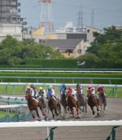 なぜ競馬界で「落馬事故」が相次ぐのか…昨年との「大きな違い」と、G1ジョッキーを襲う「悲劇の理由」