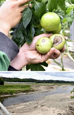 いわきで農業用井戸の水位低下、夏井川の工事影響か　福島県が調査へ