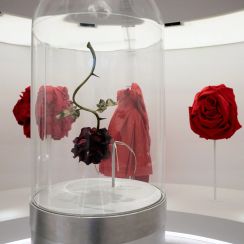 メトロポリタン美術館の24年ファッション展は、感覚を通して呼び覚ます“眠れる美”　50枚の写真と共に見どころ紹介