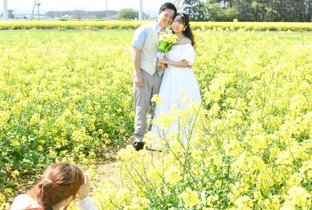 菜の花に包まれ幸せいっぱい　横浜町で結婚記念撮影イベント