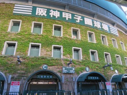 高校球児が燃え尽きる“甲子園至上主義”の理不尽…チームより個人を優先する「リーガ・サマーキャンプ」は野球の未来を変えるか