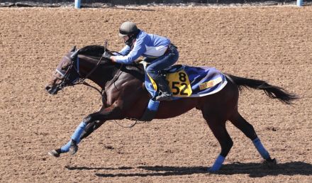 土曜京都競馬場の注目激走馬…都大路ステークス（Ｌ）