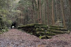 なんて神秘的なんだ… 手掘りトンネルを抜けた山中に忽然と現れる「廃駅」その正体とは 今や地域随一の人気「廃線」