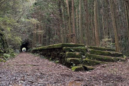 なんて神秘的なんだ… 手掘りトンネルを抜けた山中に忽然と現れる「廃駅」その正体とは 今や地域随一の人気「廃線」