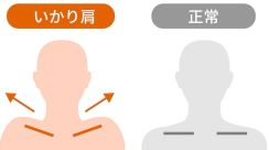 〈いかり肩の人は損してる〉首が長く見え、デコルテがきれいになる「脇腹エクササイズ」