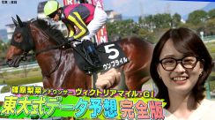 競馬・ヴィクトリアマイル　本命はウンブライル、対抗はナミュール【東大式データ予想】