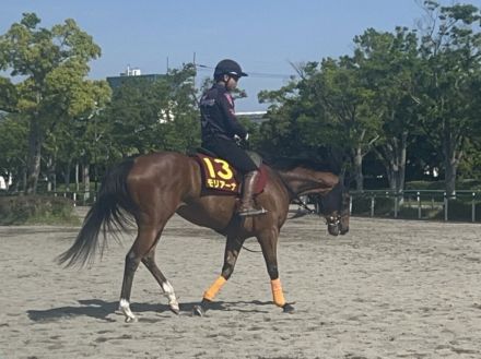 【ヴィクトリアＭ】マスクトディーヴァ・黒川助手は「状態は上がっている。左回りの方がいいタイプ」