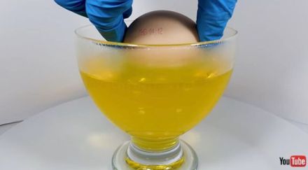 卵を塩酸に入れると……驚きの結果に　化学反応の神秘が興味深い