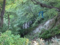 急な斜面を約100m下に滑落か山菜採りの71歳が重傷（福島）