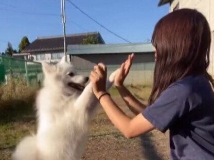 二人とも一生幸せでいてほしい！「親友」な飼い主さんと愛犬のかけがえのない日々に10万件のいいね