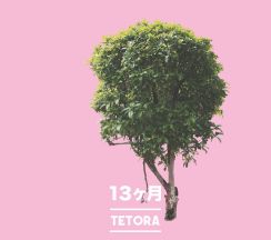 TETORAニューアルバム「13ヶ月」発売、収録曲は「7月」から「1月」まで12曲