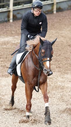 【京都１１Ｒ・栗東Ｓ】サンライズアムールが逃げ切りオープン２勝目　坂井瑠星騎手「結果を出せて良かった」