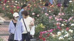 黄色やピンク色とりどり　高松市の公園で1600株のバラが見頃