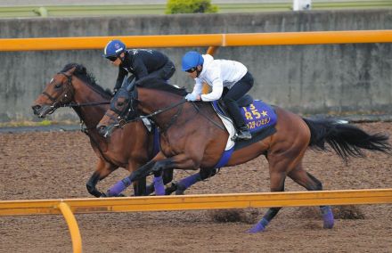 『日本ダービー』特別登録を発表　皐月賞馬・ジャスティンミラノ、シュガークンなど合計19頭がエントリー【JRA】