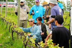 「北海道ワインアカデミー」10年　地域活性化に一役　受講者がワイナリー続々開設