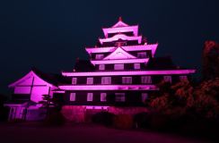 岡山城 看護の温かい心表す桃色に　病院の日、県などがライトアップ