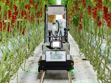 デンソーとセルトン、ミニトマトの全自動収穫ロボット--AIで熟度判定、収穫箱も交換