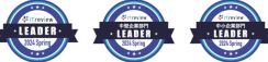 ALSI、「ITreview Grid Award」Webフィルタリング部門で8期連続Leader受賞