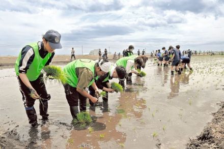 「浪江復興米」収穫楽しみ　東京農大生が福島県浪江町で田植え　アイリスオーヤマの大山社長らも参加