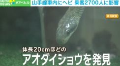 山手線車内にヘビ！ 乗客2700人に影響 JRの対応は？