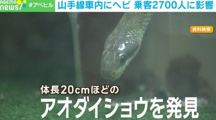 山手線車内にヘビ！ 乗客2700人に影響 JRの対応は？