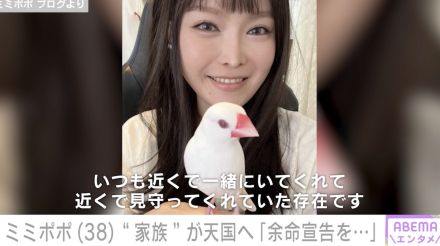 34歳で余命宣告を受けたミミポポ、文鳥“ポンちゃん”が天国へ「いつも隣で寄り添ってそばにいてくれていました」