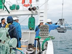 富山湾海底の地震影響調査開始　県水産研究所、堆積物や生物分析