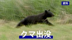JR一ノ関駅の敷地内で職員がクマを目撃　さらに付近を流れる川でも　警察が警戒を呼びかけ　岩手