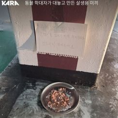 「猫を殺す餌、触らないでください」殺生用の餌を作った４０代＝韓国