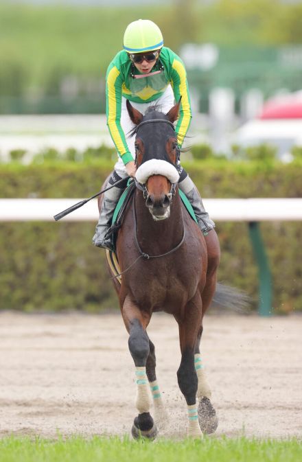 【注目馬動向】サトノエピックは東京ダービーが目標も除外濃厚なら日本ダービーへ