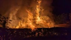 激しい炎が建物を包む…未明の火災で住宅など３棟全焼 住人１人が顔に火傷（島根・雲南市）　