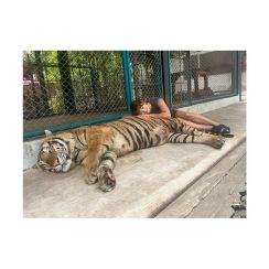 【RIZIN】RENAが本物の虎と添い寝、プールでくつろぐ姿も。タイガームエタイ再訪で再始動、UFCファイターとスパーリング