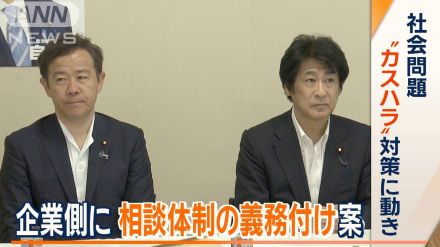 社会問題“カスハラ”対策に動き　企業側に相談体制の義務付け案など　自民提言