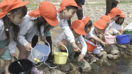 四国中央市で園児が稚アユ放流【愛媛】