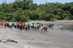 森を守ることは海を守ること！『沖ノ島アマモ移植会＆森のメンテナンス』開催