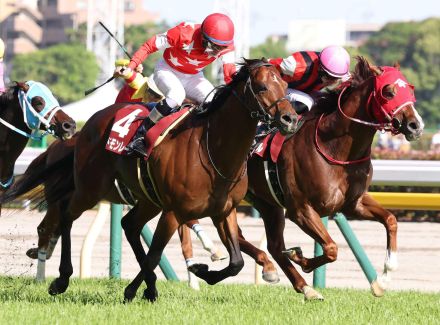 京王杯SC勝ちのウインマーベルは秋のスプリンターズＳが目標