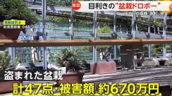 【独自】目利きの“盆栽ドロボー”　高額「黒松」「真柏」狙う…被害額約670万円　埼玉・川口市