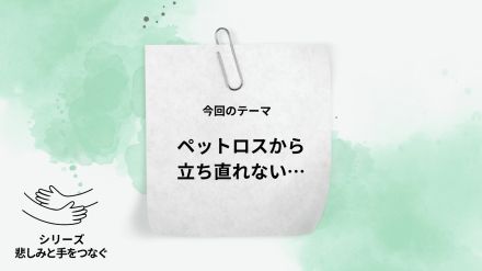 「大切なペットが亡くなり、ペットロスから立ち直れない…どうしたら？」→グリーフケアの専門家が回答